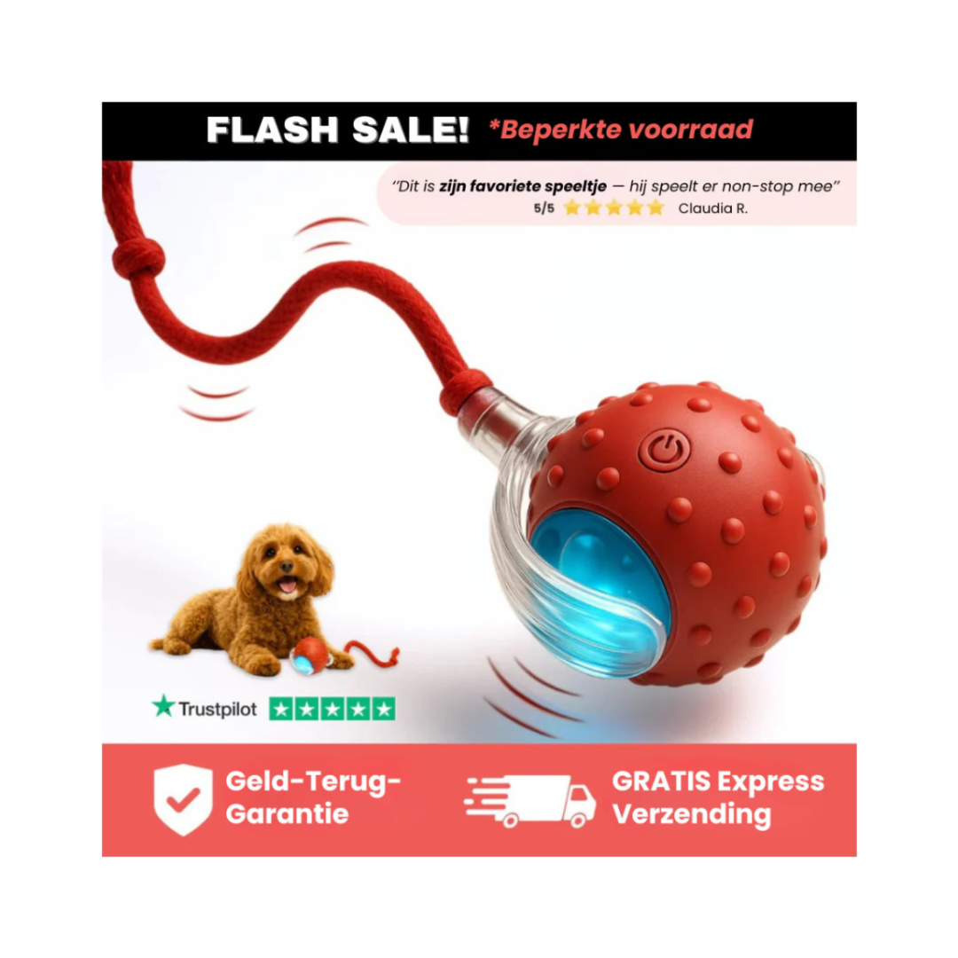 PetPlay™ Interactieve Speelbal
