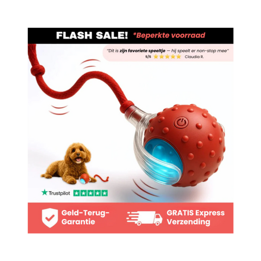 PetPlay™ Interactieve Speelbal