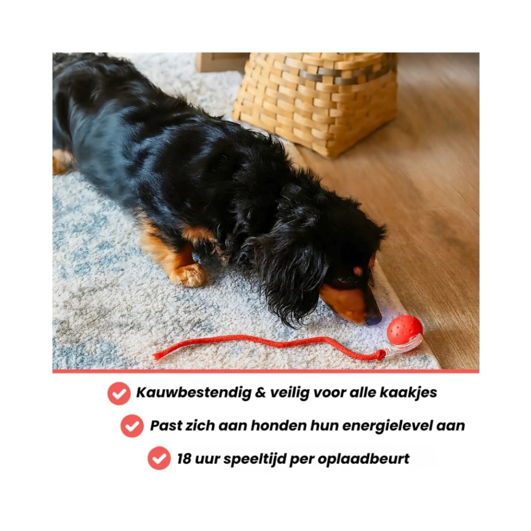 PetPlay™ Interactieve Speelbal