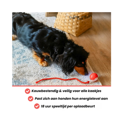 PetPlay™ Interactieve Speelbal