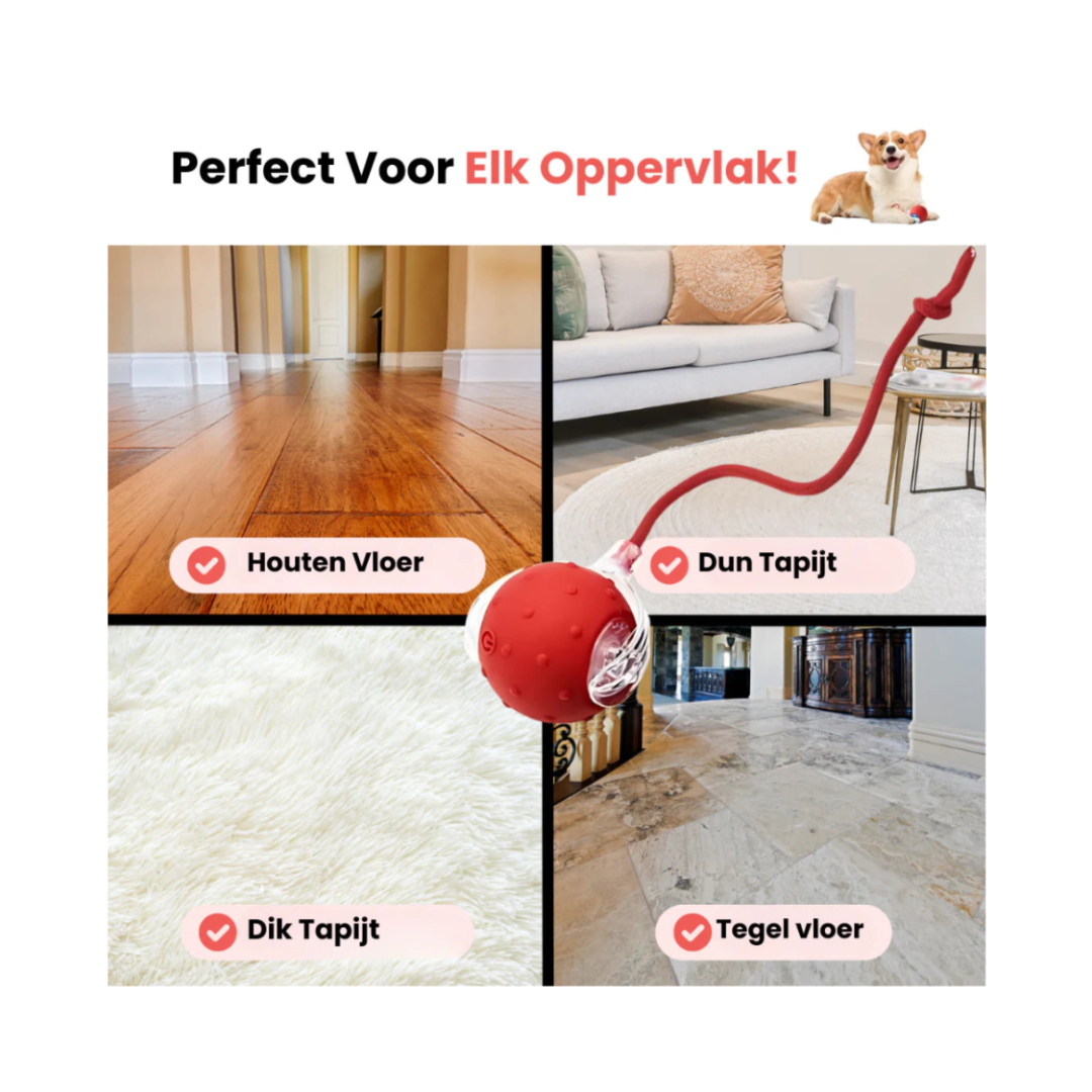 PetPlay™ Interactieve Speelbal