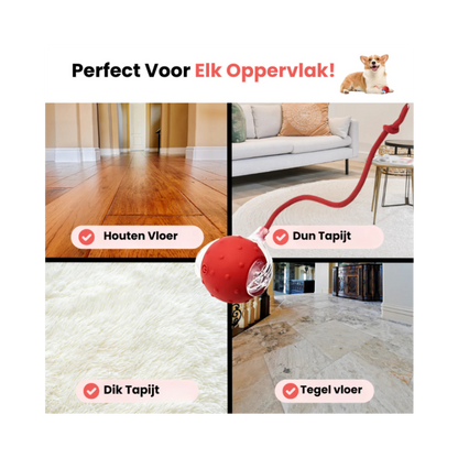 PetPlay™ Interactieve Speelbal